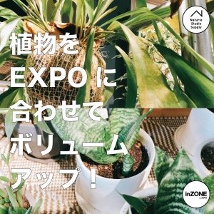 EXPO植物ボリュームアップ